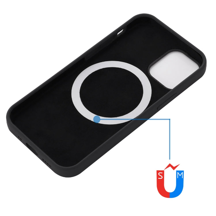 For iPhone 15 Pro Shockproof Silicone Magsafe Phone Case(Black) - iPhone 15 Pro Cases by buy2fix | Online Shopping UK | buy2fix