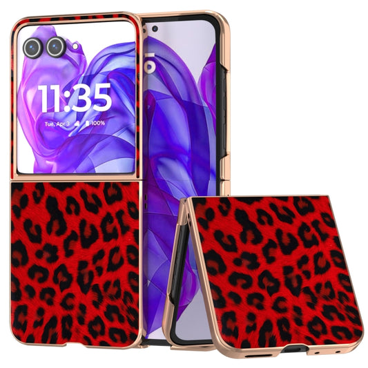 For Motorola Razr 50 Ultra Nano Plating Leopard Print Phone Case(Red) - Motorola Cases by buy2fix | Online Shopping UK | buy2fix