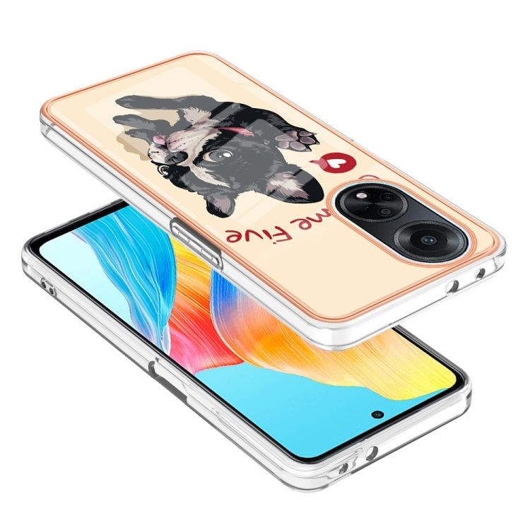 For OPPO A98 Electroplating Marble Dual-side IMD Phone Case(Lucky Dog) - OPPO Cases by buy2fix | Online Shopping UK | buy2fix