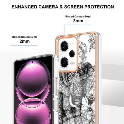 For Xiaomi Redmi Note 12 Pro 5G Global Electroplating Marble Dual-side IMD Phone Case(Totem Elephant) - Xiaomi Cases by buy2fix | Online Shopping UK | buy2fix