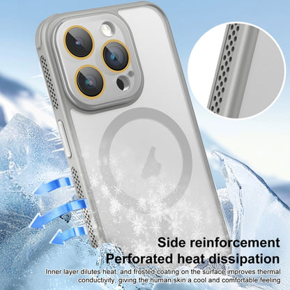 For iPhone 16 Pro Side Cooling Skin Feel Frosted MagSafe Magnetic Phone Case(Sky Blue) - iPhone 16 Pro Cases by buy2fix | Online Shopping UK | buy2fix