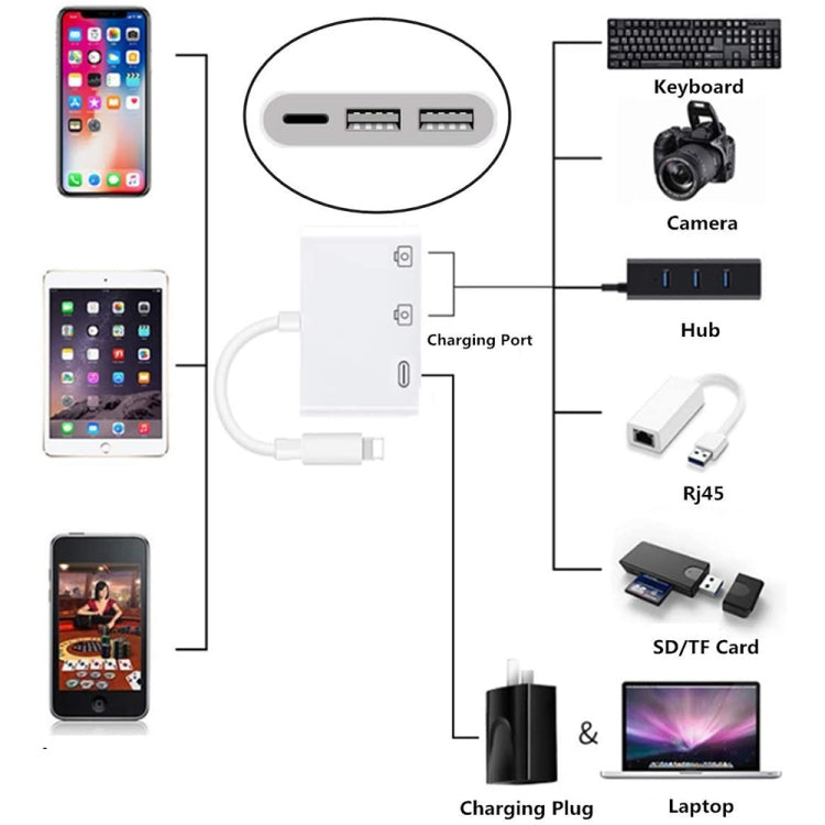 3 in 1 8 Pin Male to Dual USB Female Port Camera Adapter - Converter & Adapter by buy2fix | Online Shopping UK | buy2fix