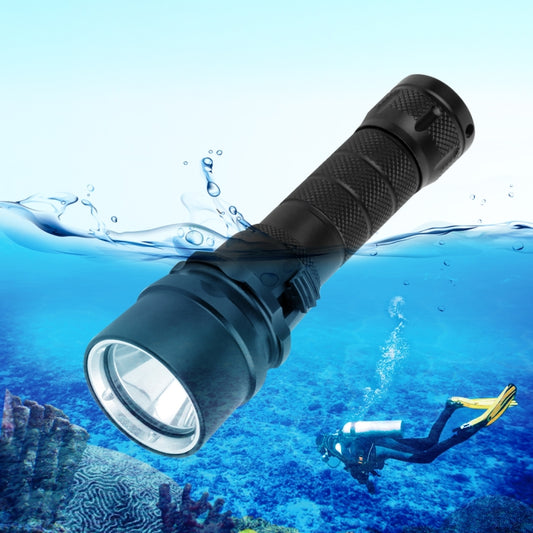 PULUZ 1000LM Aluminum Alloy 50m Depth Diving LED Flashlight Cold White Light Torch Light - Diving Flashlight by PULUZ | Online Shopping UK | buy2fix