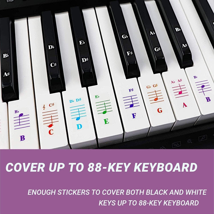 QT-005 5PCS Children Piano Keyboard Color Stickers Musical Instrument Accessories - Keyboard Instruments by buy2fix | Online Shopping UK | buy2fix