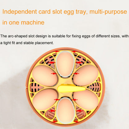 6-Eggs Small Household Experimental Children Smart Chicken Incubators, Spec: Dual-electric Automatic UK Plug - Incubators by buy2fix | Online Shopping UK | buy2fix