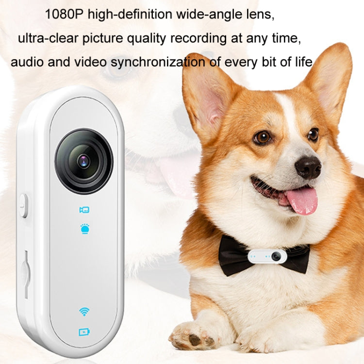 HD Outdoor Portable Pet Recorder Cycling Sports Camera, Specifications: With 64G TF Card - Video Cameras by buy2fix | Online Shopping UK | buy2fix