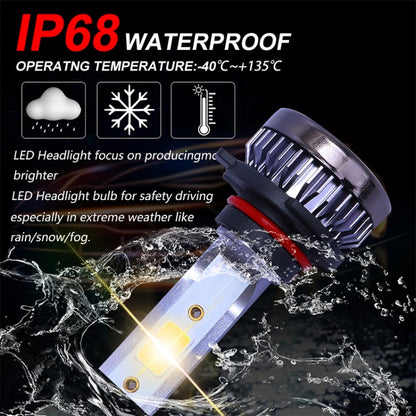 2 PCS H11 DC9-36V / 36W / 3000K / 6000LM IP68 Car / Motorcycle Mini COB LED Headlight Lamps / Fog Light(Gold Light) - LED Headlamps by buy2fix | Online Shopping UK | buy2fix