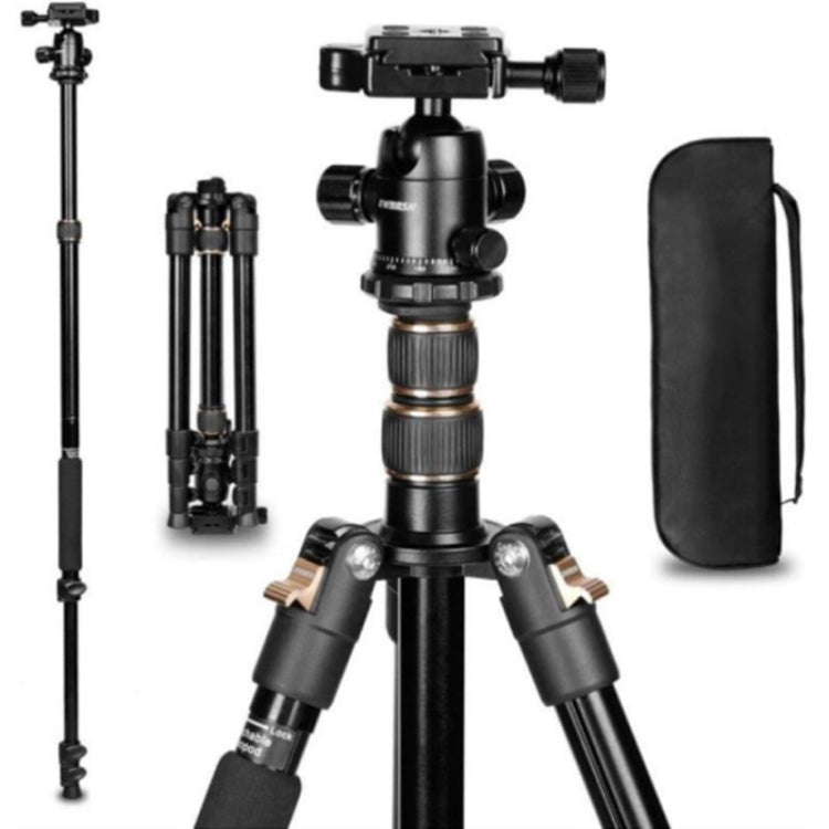 TRIOPO K2508S+B1S Adjustable Portable  Aluminum Alloy Tripod with Ball Head for SLR Camera(Gold) - Tripods by TRIOPO | Online Shopping UK | buy2fix