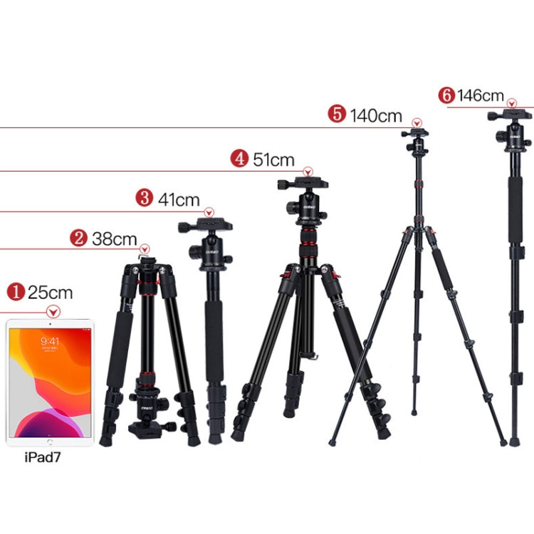 TRIOPO K2508S+B1S Adjustable Portable  Aluminum Alloy Tripod with Ball Head for SLR Camera(Gold) - Tripods by TRIOPO | Online Shopping UK | buy2fix