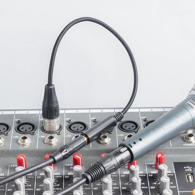 0.3m 6.35mm Female to XLR Male Microphone Audio Conversion Cable - Microphone Audio Cable & Connector by buy2fix | Online Shopping UK | buy2fix