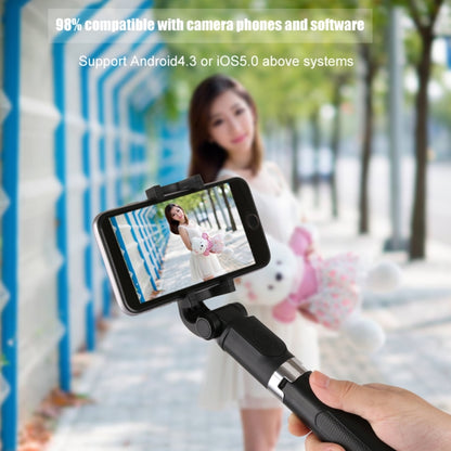 2 in 1 Foldable Bluetooth Shutter Remote Selfie Stick Tripod for iPhone and Android Phones(Black) - Consumer Electronics by buy2fix | Online Shopping UK | buy2fix