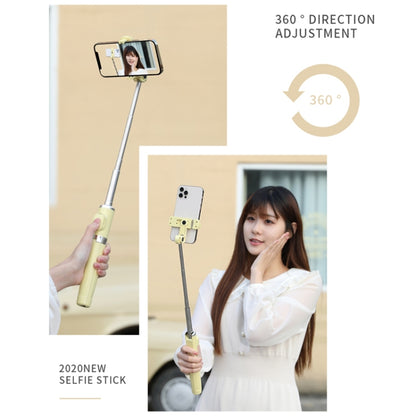 Bluetooth Remote Control Dual Fill Light Tripod Selfie Stick (Black) - Consumer Electronics by buy2fix | Online Shopping UK | buy2fix