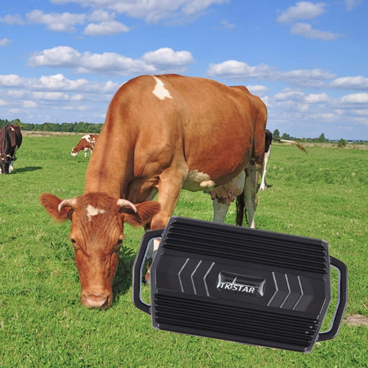 TKSTAR TK935 3000mAh GPS Pet Livestock Car Tracker IP65 Level Waterproof Locator(Black) - Personal Tracker by buy2fix | Online Shopping UK | buy2fix