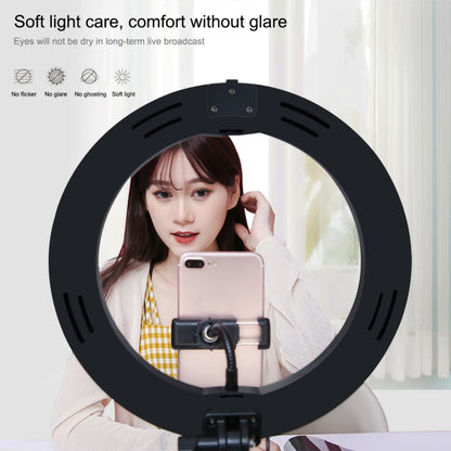 PULUZ 10.2 inch 26cm USB 3 Modes Dimmable Dual Color Temperature LED Curved  Ring Vlogging Selfie Photography Video Lights with Bluetooth Remote Shutter & Folding Desktop Holder & Phone Clamp(Black) - Consumer Electronics by PULUZ | Online Shopping UK | buy2fix