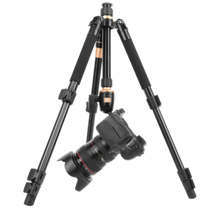 Q555 4-Section Folding Legs Aluminum Alloy Tripod Mount Monopod Holder with Ball Head - Camera Accessories by buy2fix | Online Shopping UK | buy2fix