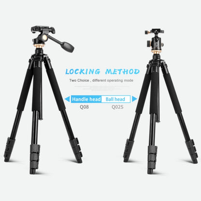 Q338 4-Section Folding Legs Live Broadcast Aluminum Alloy Tripod Mount With Ball Head - Camera Accessories by buy2fix | Online Shopping UK | buy2fix